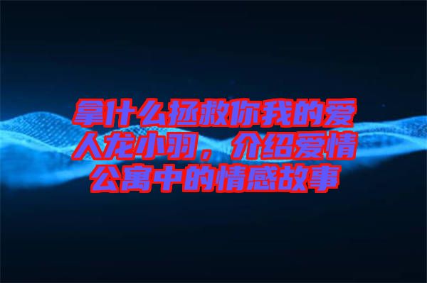 拿什么拯救你我的愛(ài)人龍小羽，介紹愛(ài)情公寓中的情感故事