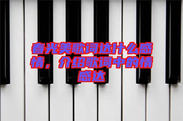 春光美歌詞達什么感情，介紹歌詞中的情感達