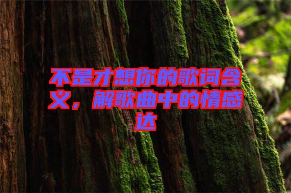 不是才想你的歌詞含義，解歌曲中的情感達(dá)