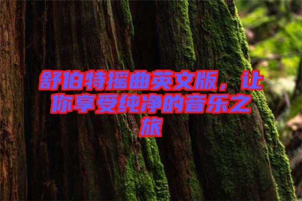 舒伯特?fù)u曲英文版，讓你享受純凈的音樂(lè)之旅