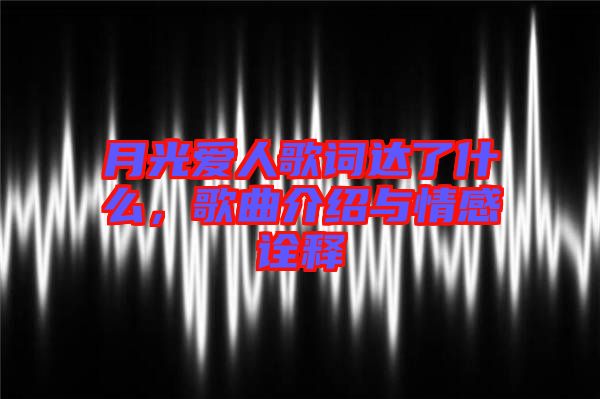 月光愛人歌詞達(dá)了什么，歌曲介紹與情感詮釋