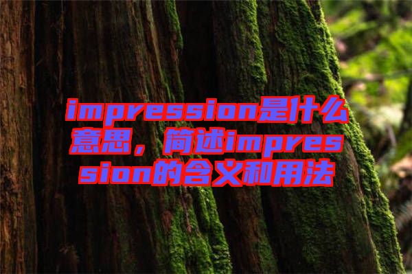 impression是什么意思，簡述impression的含義和用法