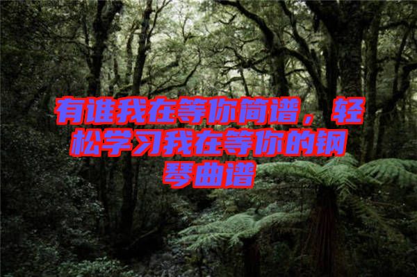 有誰我在等你簡譜，輕松學(xué)習(xí)我在等你的鋼琴曲譜