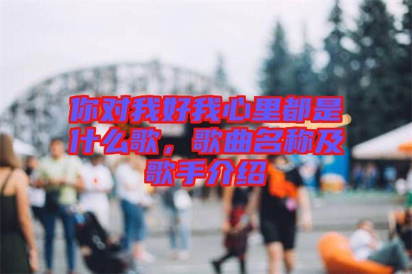 你對(duì)我好我心里都是什么歌，歌曲名稱及歌手介紹