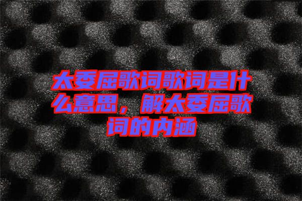 太委屈歌詞歌詞是什么意思，解太委屈歌詞的內(nèi)涵