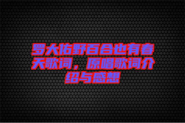 羅大佑野百合也有春天歌詞，原唱歌詞介紹與感想