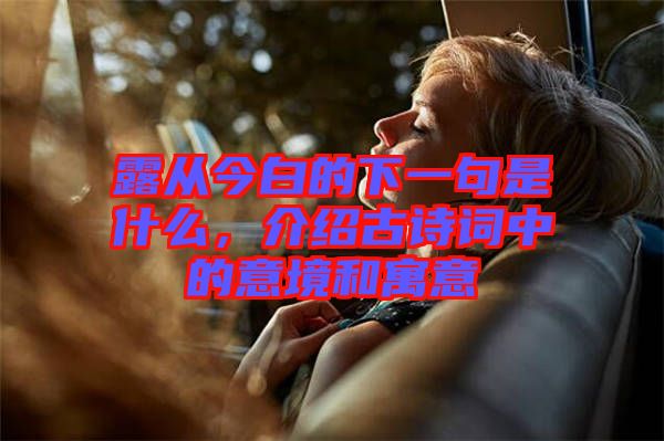 露從今白的下一句是什么，介紹古詩詞中的意境和寓意