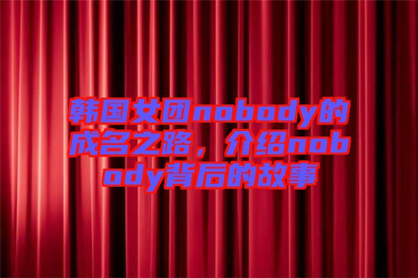 韓國女團(tuán)nobody的成名之路，介紹nobody背后的故事