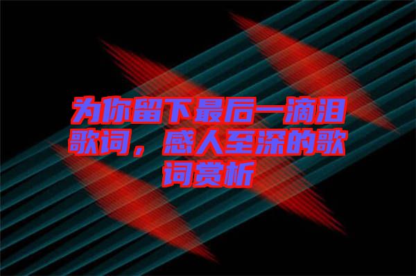 為你留下最后一滴淚歌詞，感人至深的歌詞賞析