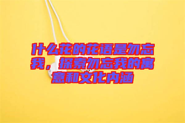 什么花的花語是勿忘我，探索勿忘我的寓意和文化內(nèi)涵