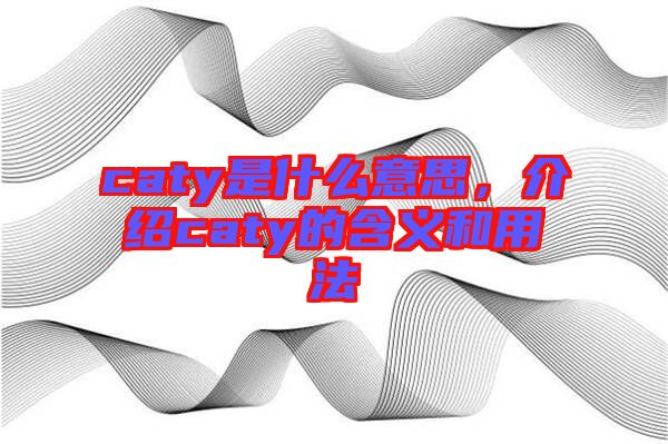 caty是什么意思，介紹caty的含義和用法