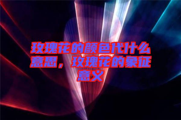 玫瑰花的顏色代什么意思，玫瑰花的象征意義