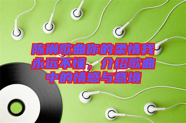 陳琳歌曲你的柔情我永遠(yuǎn)不懂，介紹歌曲中的情感與意境