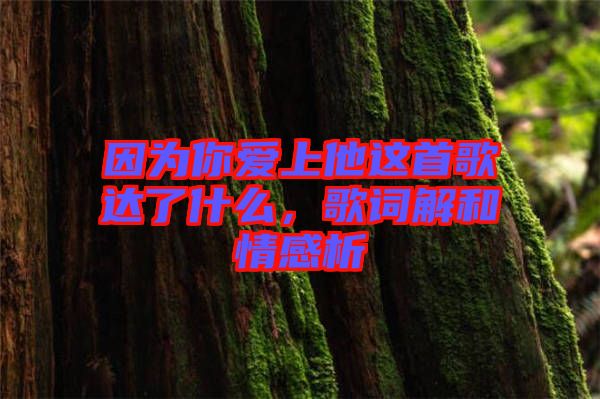 因?yàn)槟銗凵纤@首歌達(dá)了什么，歌詞解和情感析