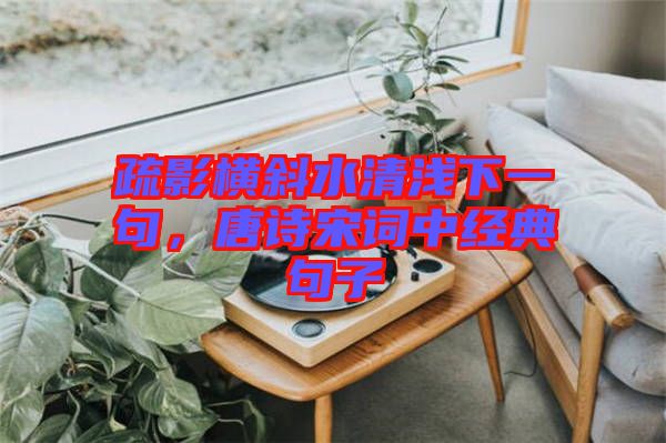 疏影橫斜水清淺下一句，唐詩宋詞中經(jīng)典句子