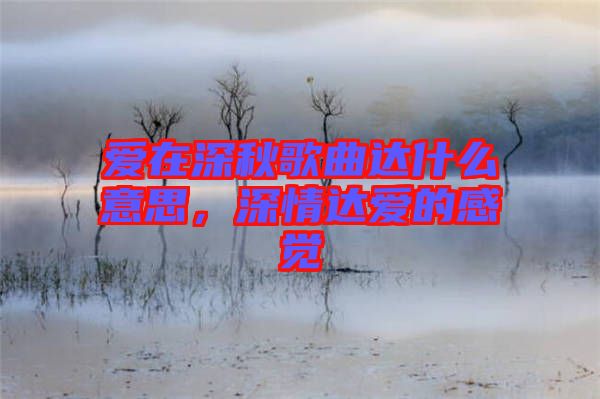 愛在深秋歌曲達(dá)什么意思，深情達(dá)愛的感覺