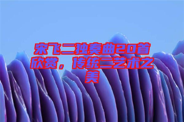 宋飛二獨奏曲20首欣賞，傳統(tǒng)二藝術(shù)之美