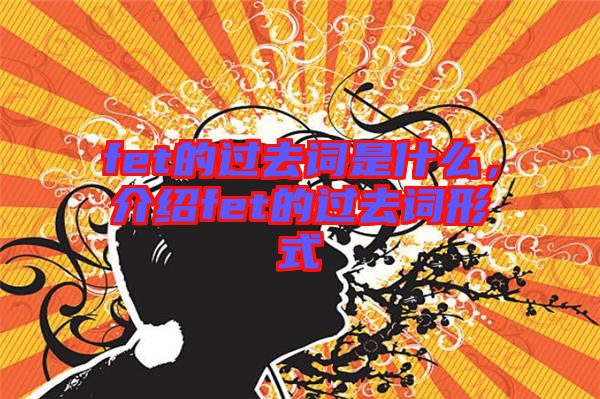 fet的過去詞是什么，介紹fet的過去詞形式