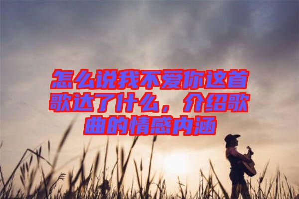 怎么說我不愛你這首歌達(dá)了什么，介紹歌曲的情感內(nèi)涵