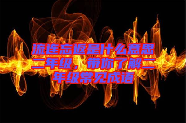 流連忘返是什么意思二年級(jí)，帶你了解二年級(jí)常見(jiàn)成語(yǔ)