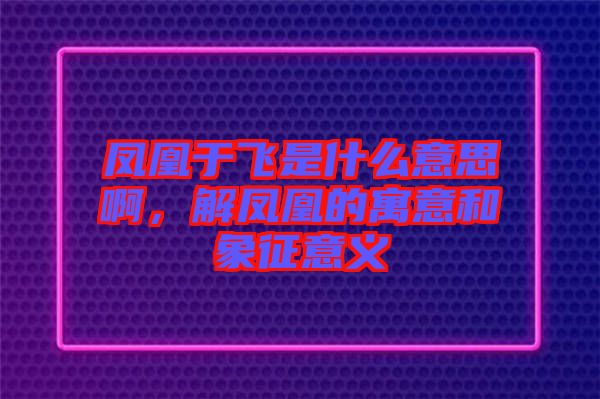 鳳凰于飛是什么意思啊，解鳳凰的寓意和象征意義