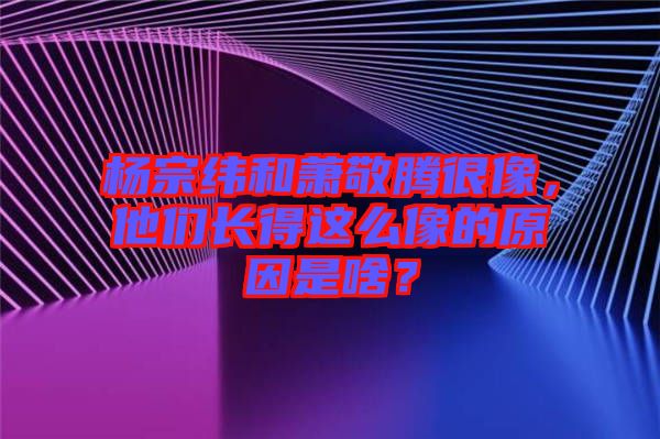 楊宗緯和蕭敬騰很像，他們長得這么像的原因是啥？