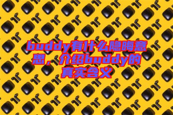 buddy有什么隱晦意思，介紹buddy的真實含義