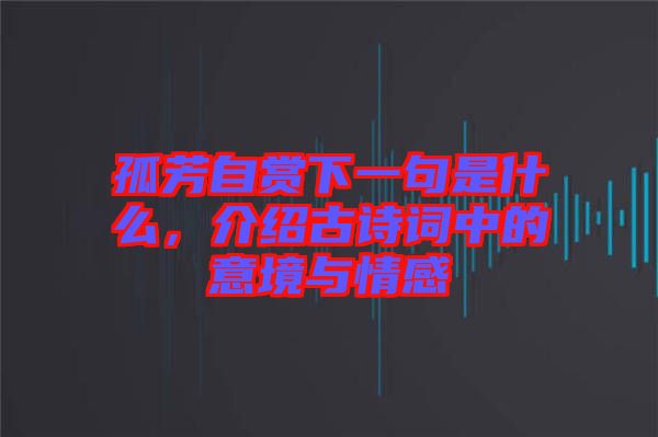 孤芳自賞下一句是什么，介紹古詩詞中的意境與情感