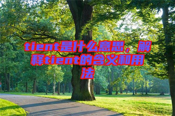 tient是什么意思，解釋tient的含義和用法