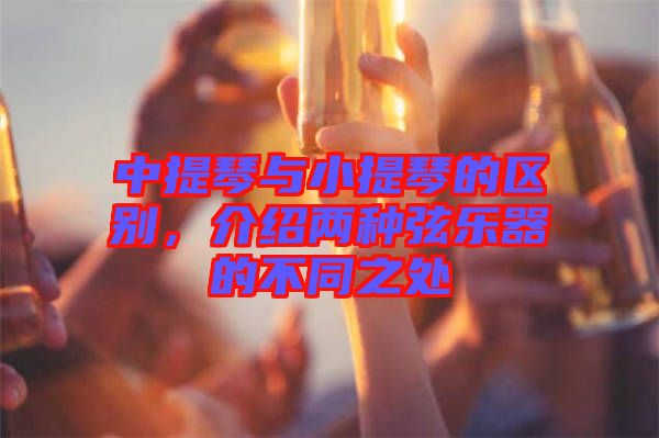 中提琴與小提琴的區(qū)別，介紹兩種弦樂器的不同之處