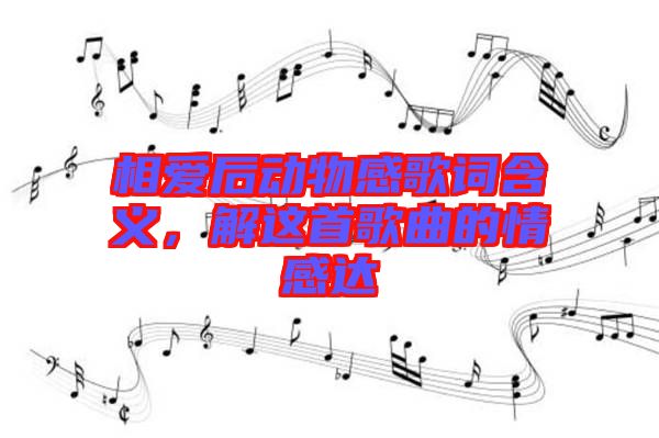 相愛后動(dòng)物感歌詞含義，解這首歌曲的情感達(dá)