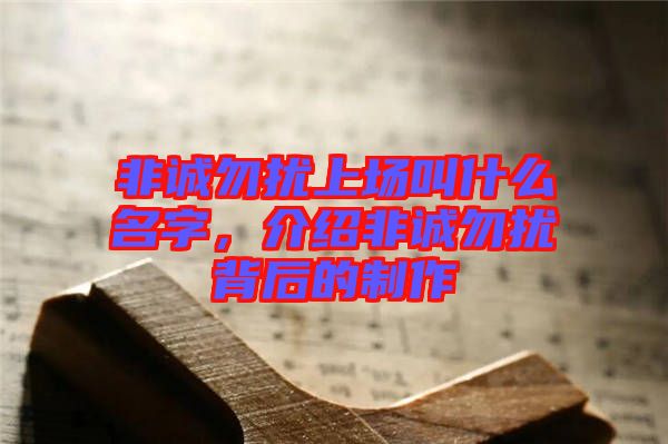 非誠(chéng)勿擾上場(chǎng)叫什么名字，介紹非誠(chéng)勿擾背后的制作