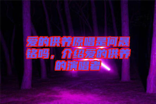 愛(ài)的供養(yǎng)原唱是何晟銘嗎，介紹愛(ài)的供養(yǎng)的演唱者