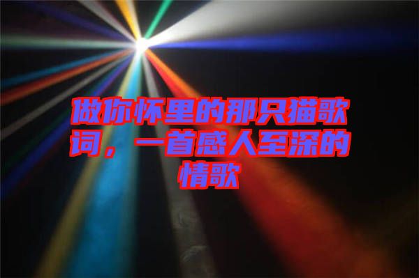 做你懷里的那只貓歌詞，一首感人至深的情歌