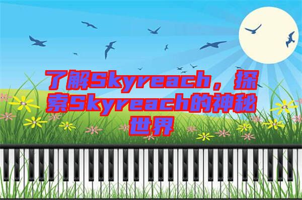 了解Skyreach，探索Skyreach的神秘世界