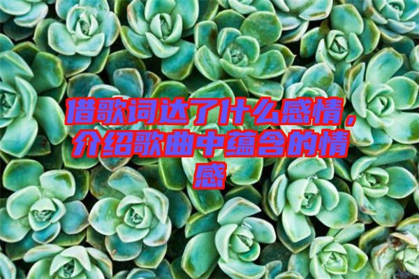 借歌詞達了什么感情，介紹歌曲中蘊含的情感