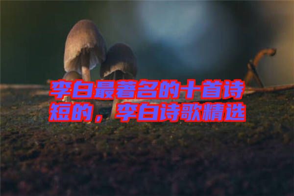 李白最著名的十首詩(shī)短的，李白詩(shī)歌精選