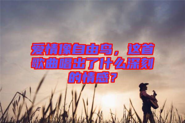 愛情像自由鳥，這首歌曲唱出了什么深刻的情感？