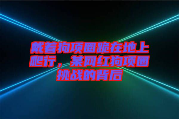 戴著狗項圈跪在地上爬行，某網(wǎng)紅狗項圈挑戰(zhàn)的背后