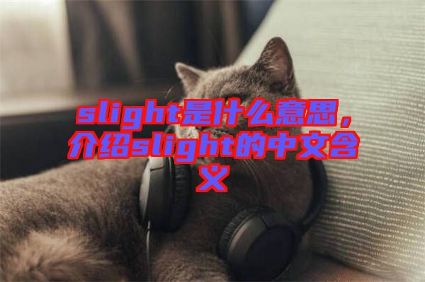 slight是什么意思，介紹slight的中文含義