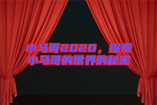 小馬哥2020，探索小馬哥的世界的秘密