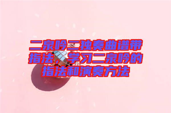 二泉吟二獨奏曲譜帶指法，學(xué)習(xí)二泉吟的指法和演奏方法