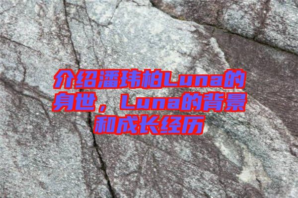 介紹潘瑋柏Luna的身世，Luna的背景和成長經(jīng)歷