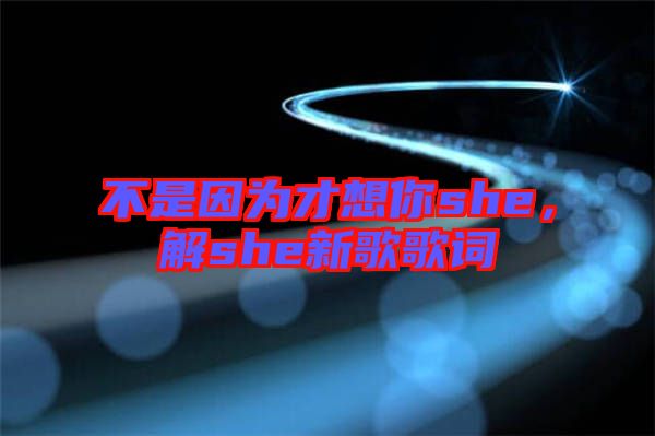 不是因?yàn)椴畔肽鉺he，解she新歌歌詞