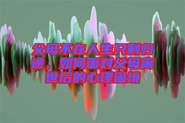 父母不在人生只剩歸途，如何面對(duì)父母離世后的心理困境