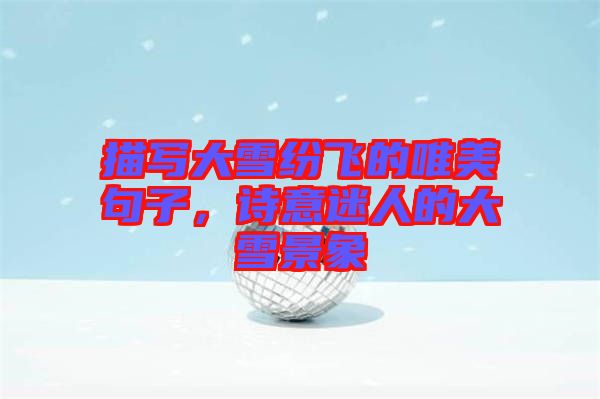 描寫大雪紛飛的唯美句子，詩(shī)意迷人的大雪景象