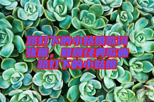 路燈下的小姑娘歌詞張薔，回顧經(jīng)典歌曲路燈下的小姑娘