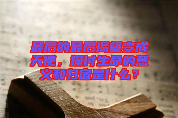 最后的最后渴望變成天使，探討生命的意義和歸宿是什么？