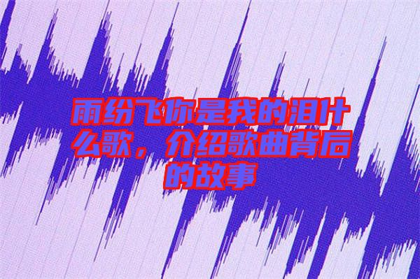 雨紛飛你是我的淚什么歌，介紹歌曲背后的故事