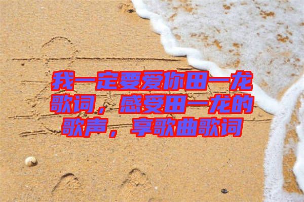 我一定要愛你田一龍歌詞，感受田一龍的歌聲，享歌曲歌詞